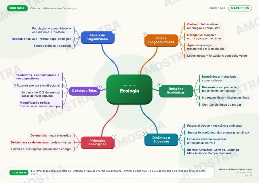 Mapa mental de Biologia: Ecologia